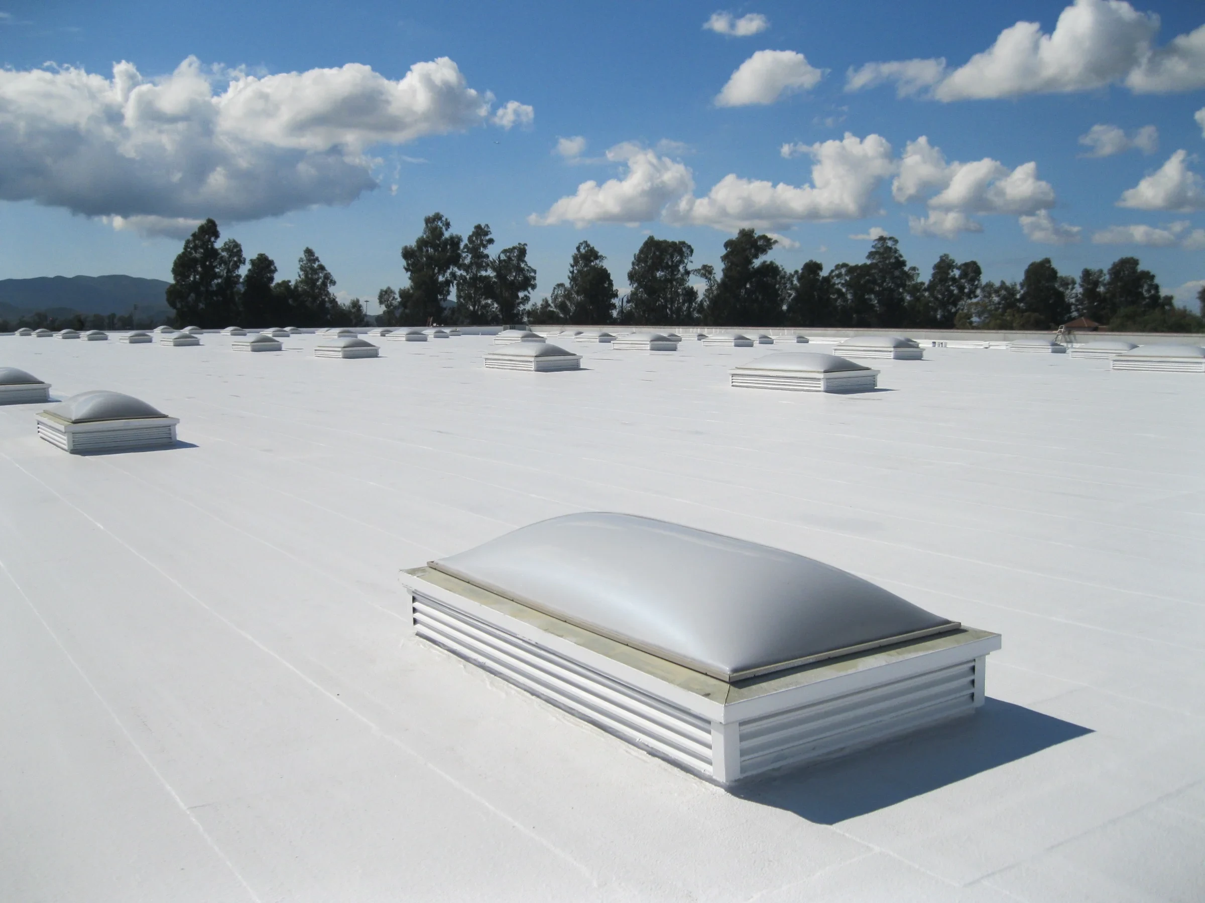 Food Processing Facility Roofing in Appleton, WI